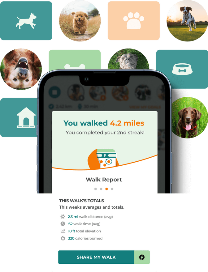 Furfriends - Unleashing dog lovers