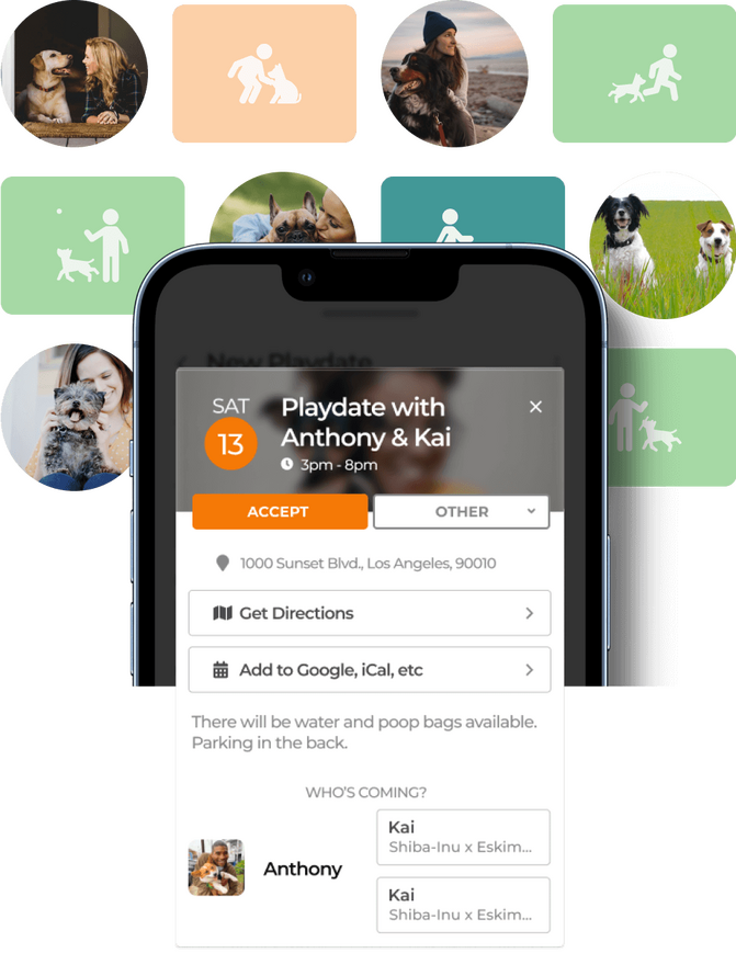 Furfriends - Unleashing dog lovers