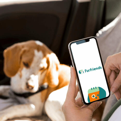 Furfriends - A phone with a dog in the background