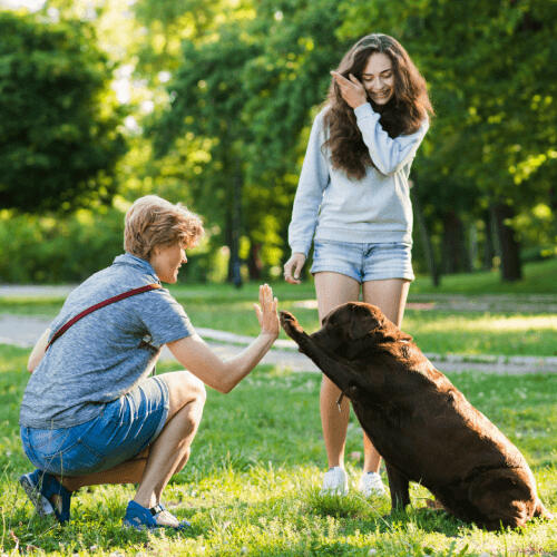 Furfriends - Girl looking at a man giving high five to her dog in a park